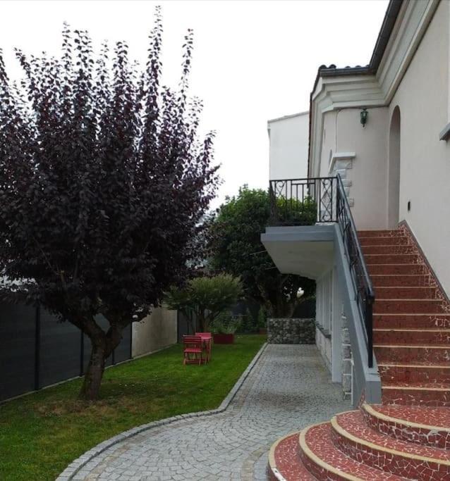Dans * Pau